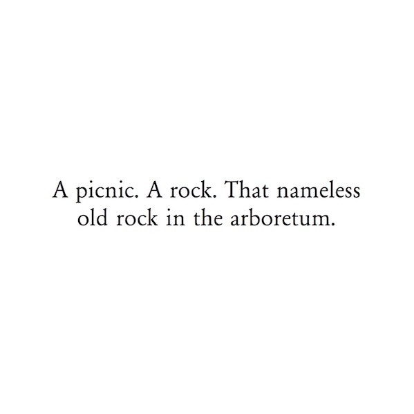 A picnic. A rock. That nameless old rock in the arboretum.